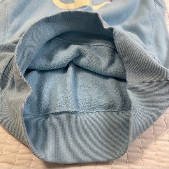 Champion Sweatshirt Light Blue Men's Pullover Spell Out Hoodie - Picture 10 of 15